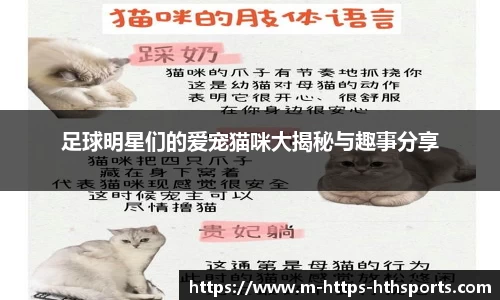 足球明星们的爱宠猫咪大揭秘与趣事分享
